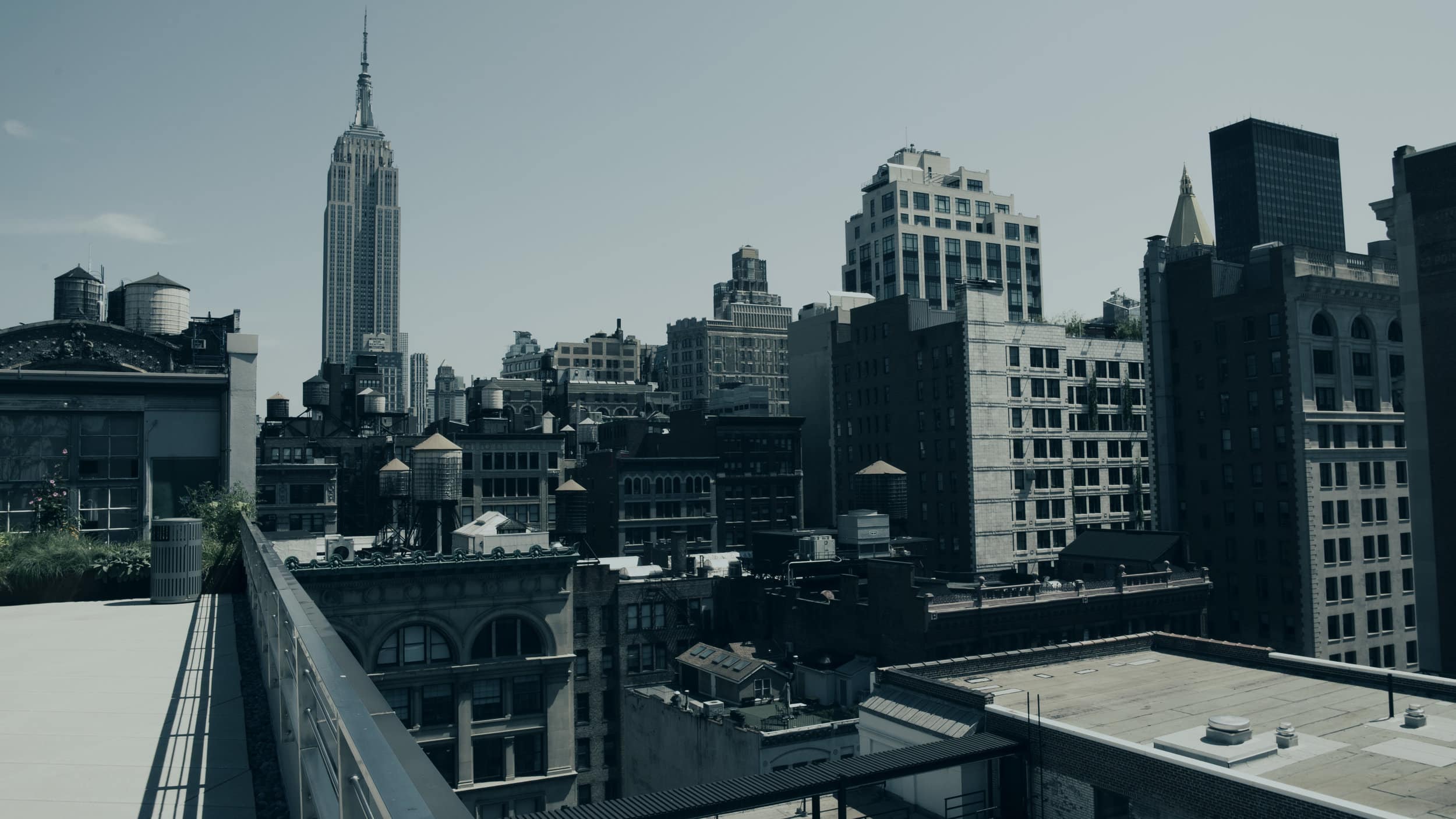 Roof-10-walden.jpg