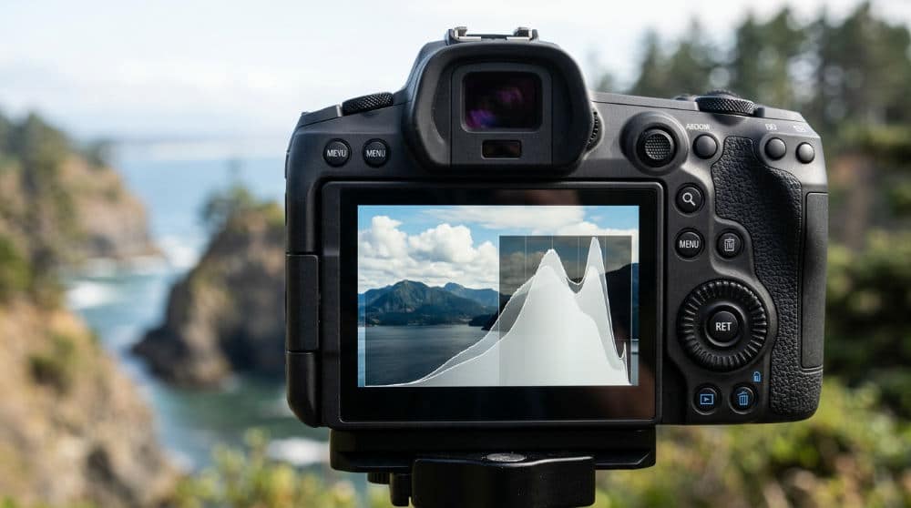 Camera histogram showing smooth gradients