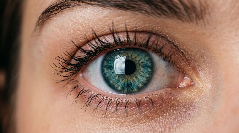 A close up of a human eye featuring a distinct catchlight reflection from professional studio lighting.